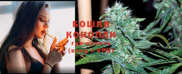 хмурый Богородицк