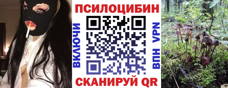 купить наркотик  Донской  blacksprut tor  Псилоцибиновые грибы мицелий 